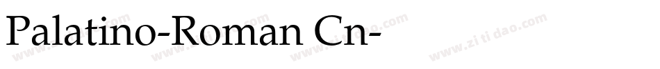 Palatino-Roman Cn字体转换